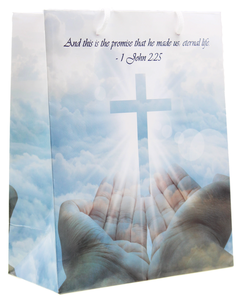 John 2:25 Gift Bag with Gift Tissue